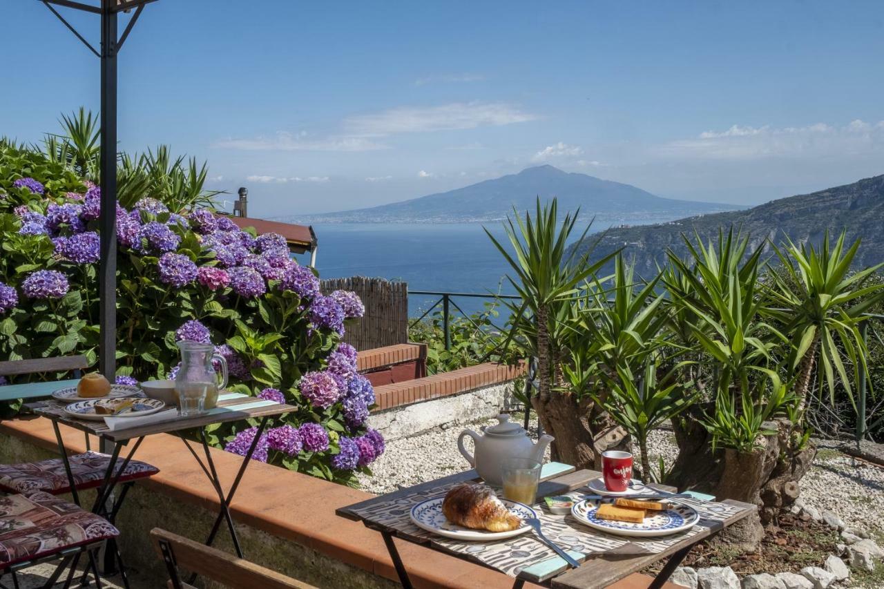 Villa Monica B&B Sorrento Eksteriør billede