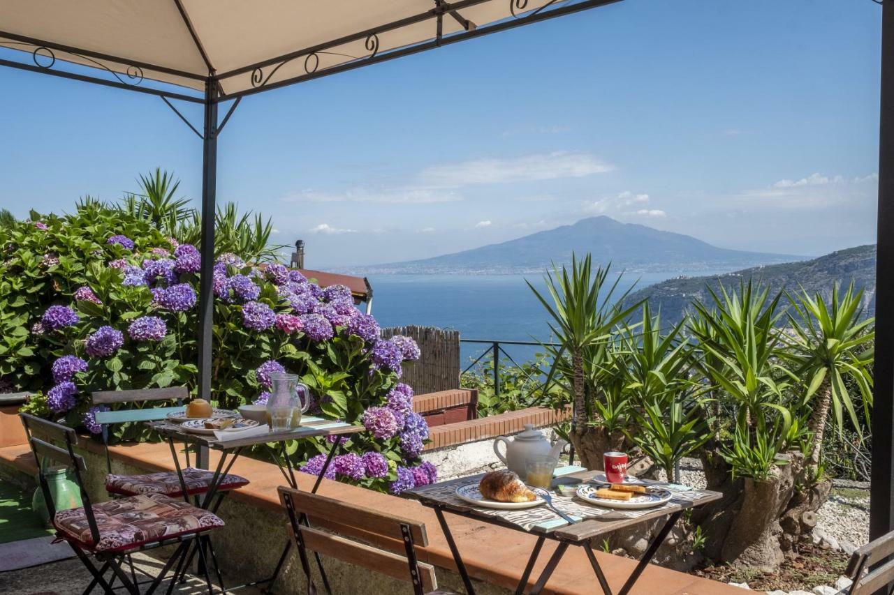 Villa Monica B&B Sorrento Eksteriør billede