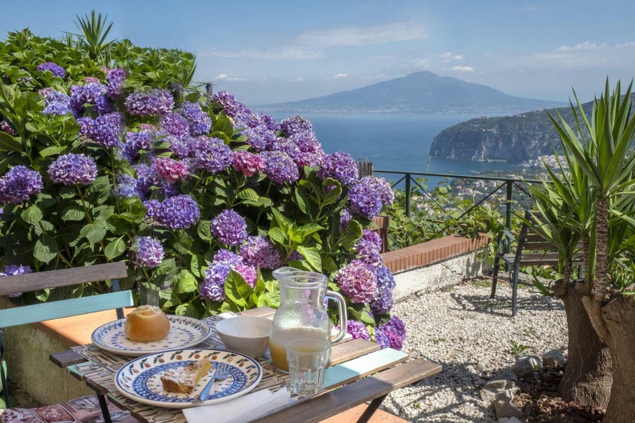 Villa Monica B&B Sorrento Eksteriør billede